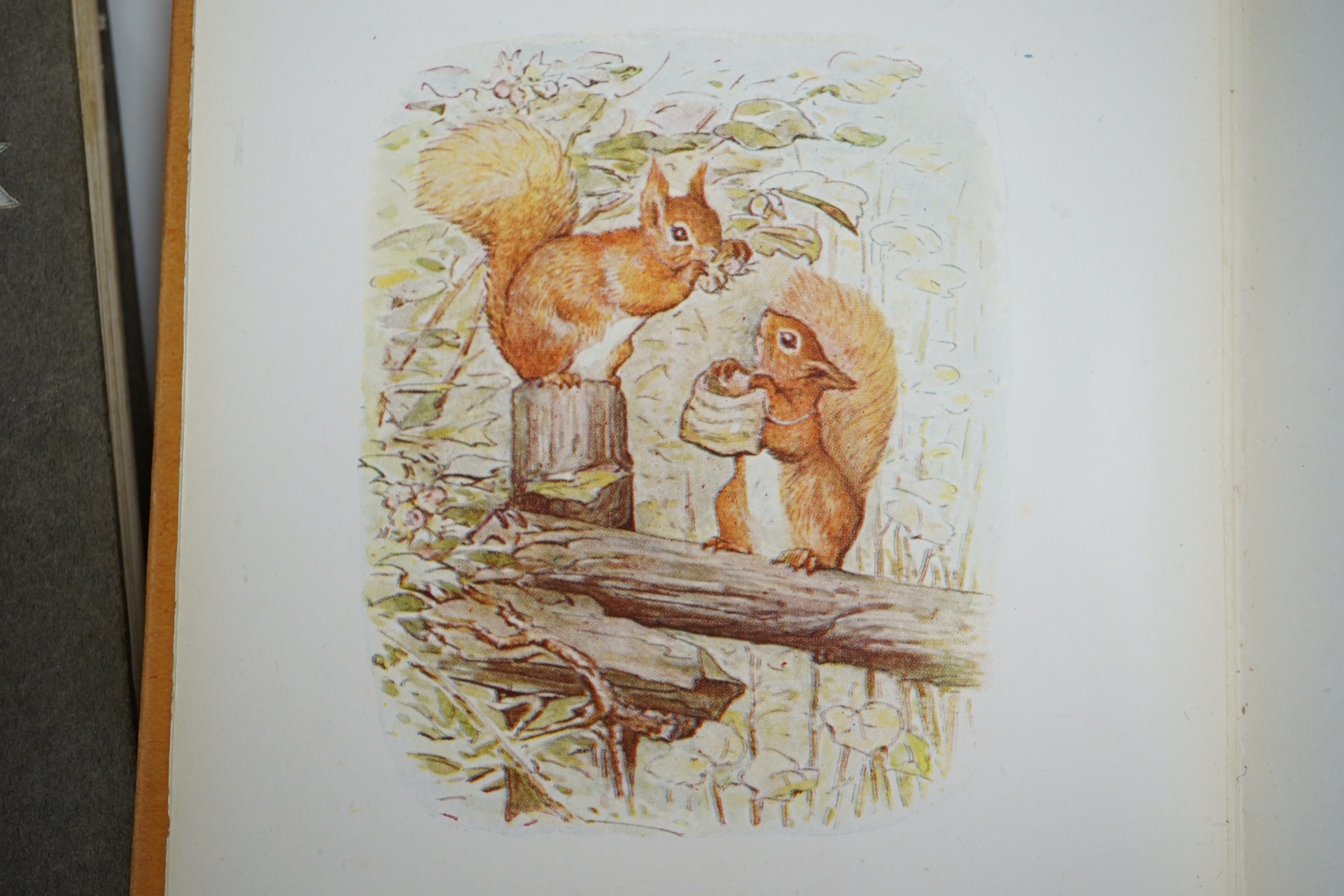 Potter, Beatrix - The Tale of Jemima Puddle-Duck. First Edition. title illus., frontis and 26 other coloured illus.; white lettered grey paperboards with a mounted coloured illus. on upper - having 'arrowhead' shaped cor